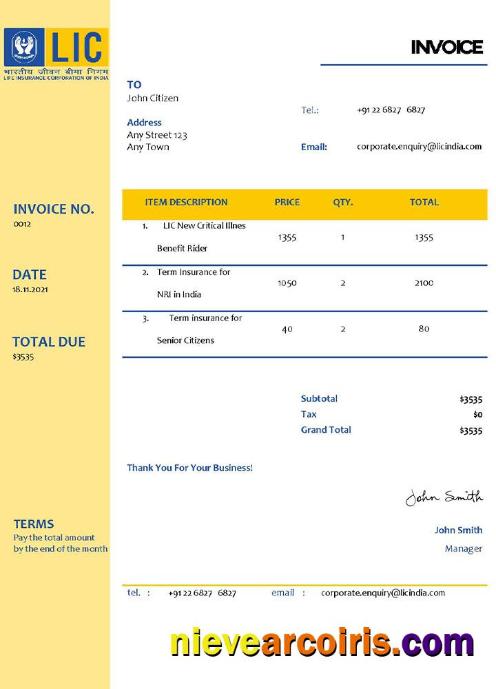 USA LIC invoice